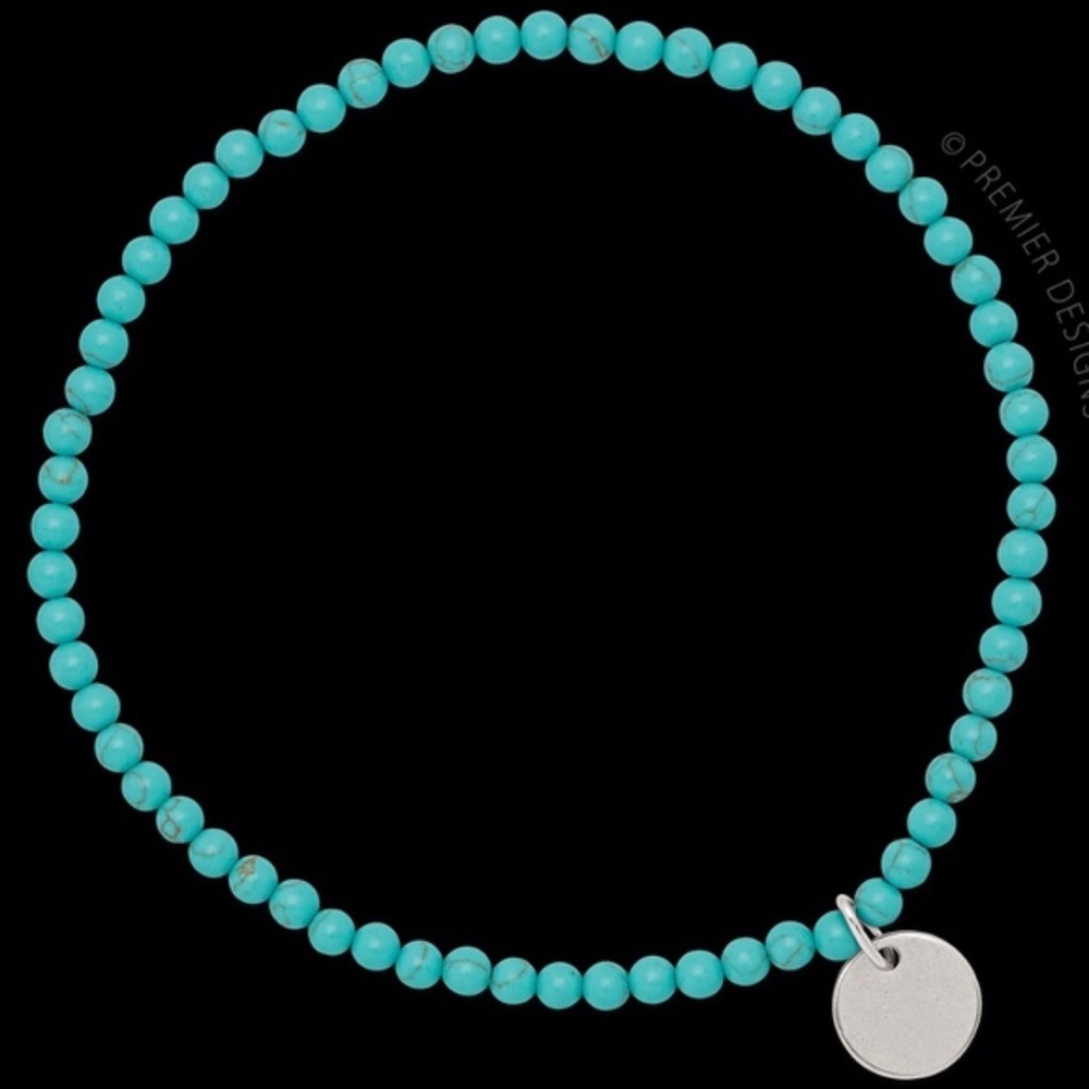 🔥NWOT Juliette Premier Designs Anklet